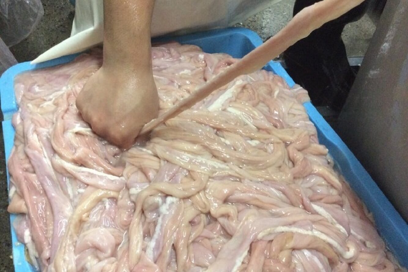 生もつは鮮度が命