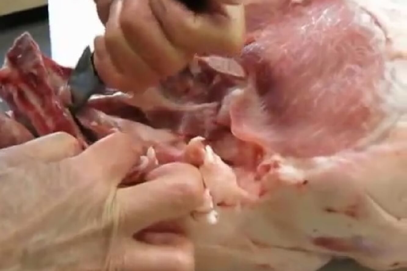 正肉のこだわり